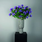 Garden Flower Purple Azalea With Leaves