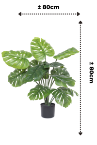 Monstera Artificial Plant A 80cm