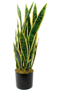 Sansevieria artificial plant 70cm