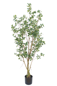 Ficus Artificial plant 180cm