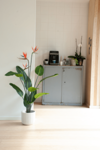 Strelitzia Artificial plant 120cm with flower