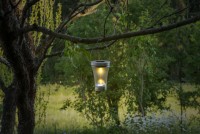 8 Set LED decoration solar light, for outside, made of metal and plastic in steel-blank, integrated LED