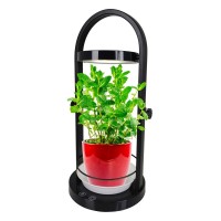 LED plant tablet light 53.5 cm high, made of metal and plastic in black, with integrated LED