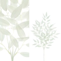 Leaves Plant White Smilax Spray