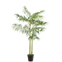 J-Line Bamboepalm In Pot Plastiek Groen/Zwart Small