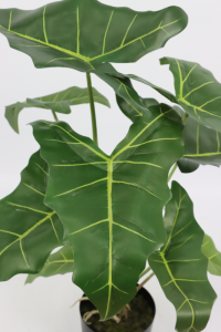 Alocasia Kunstplant 60cm