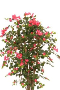 Bougainvillea Artificial plant 180cm