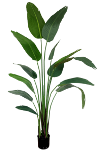 Artificial Strelitzia Plant 210cm