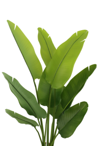 Artificial Strelitzia Plant 120cm