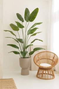 Pre-order art banana plant 210cm