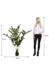 Fish tail Palm Artificial Plant in Pot - H150 x Ø100 cm - Green