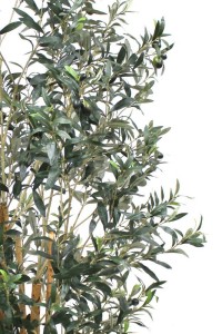 Pre-Order Art Olive Tree 180cm