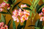 Garden Flower Pink Plumeria Spray W Leaves