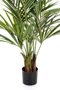 Kentia Artificial Palm 150cm