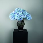Hydrangea Flower Blue Big Single Flower