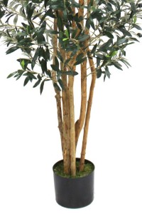 Pre-Order Art Olive Tree 180cm