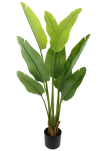 Artificial Strelitzia Plant 120cm