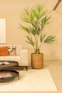 Kentia Artificial Palm 180cm