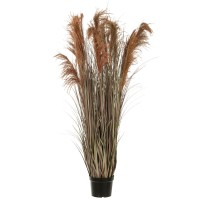 J-Line Pampas Gras 13 Koppen In Pot Pvc Groen/Oranje Large