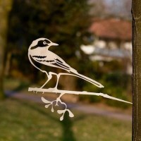 Lucky Wagtail/ Wagtail 1302, 300 mm wide - 2 mm thick