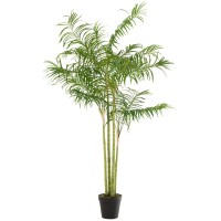 J-Line plant Bamboepalm In Pot - kunststof - groen/zwart - large