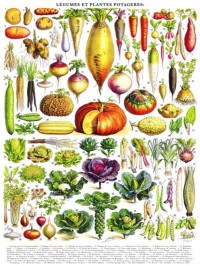 New York Puzzle Company Vegetables ~ Légumes - 1000 pieces