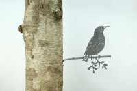 Lucky Starling/Starling 1304, 340 mm wide - 2 mm thick