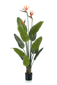 Strelitzia Artificial plant 120cm with flower