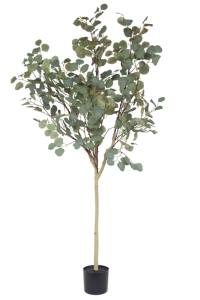 Eucalyptus Kunstboom 160cm