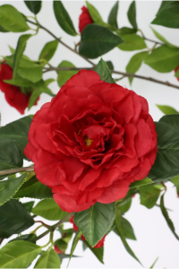 Artificial Japanese Rose Plant 155cm