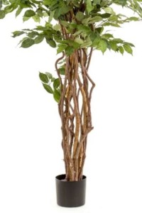 Ficus Liana Artificial Tree 170cm