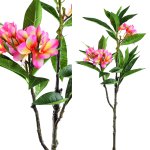 Garden Flower Pink Plumeria Spray W Leaves