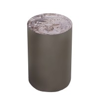 Rillix Natural Petrified Wood Sidetable Nickel Rnd