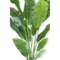 Strelitzia Kunstplant 180cm Deluxe
