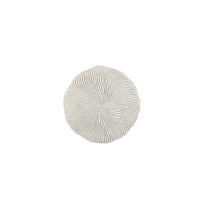 Kathelle White Poly Round Coral Shaped Wallpanel S