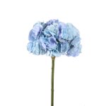 Hydrangea Flower Blue Big Single Flower