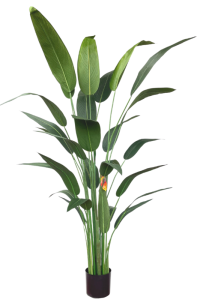 Artificial Strelitzia Plant With Flower 180cm