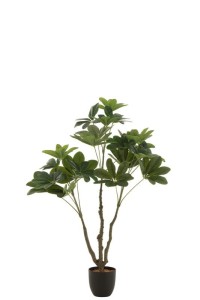 J-Line Money Tree In Pot Plastic Green Small