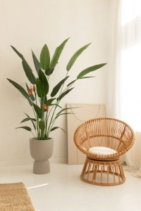 Artificial Strelitzia Plant With Flower 180cm