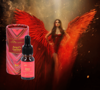 Scented Oils La Vie est Belle / Angels Garden / Gentleman's Club