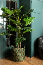 Leaves Plant Green Philodendron In Black Pot L