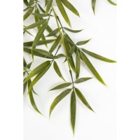 Bamboe Kunst Hangplant - L105 x B35 x H3 cm - Groen