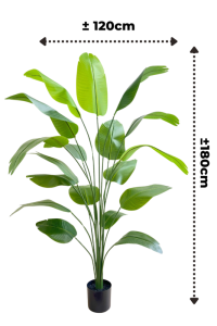 Pre-order art banana plant 180cm