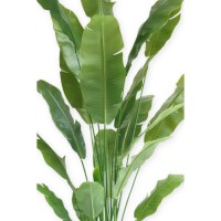 Strelitzia Kunstplant 210cm