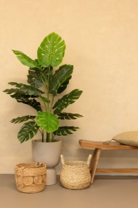 Monstera Artificial Plant 145cm