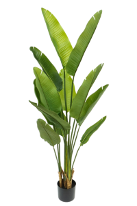 Strelitzia Artificial Plant 160cm