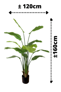 Strelitzia Artificial Plant 160cm