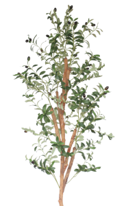 Artificial Olive Tree 170cm