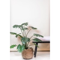 Kunstplant - Philodendron - 80 cm
