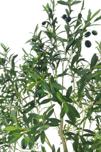 Artificial Olive Tree 210cm